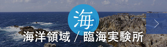 海洋領域 臨海実験所